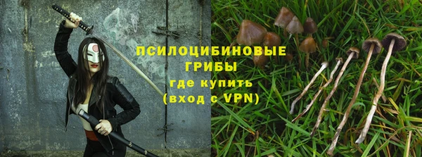 a pvp Инсар