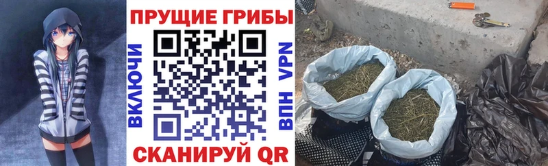Купить где  Поронайск  Галлюциногенные грибы Psilocybe 